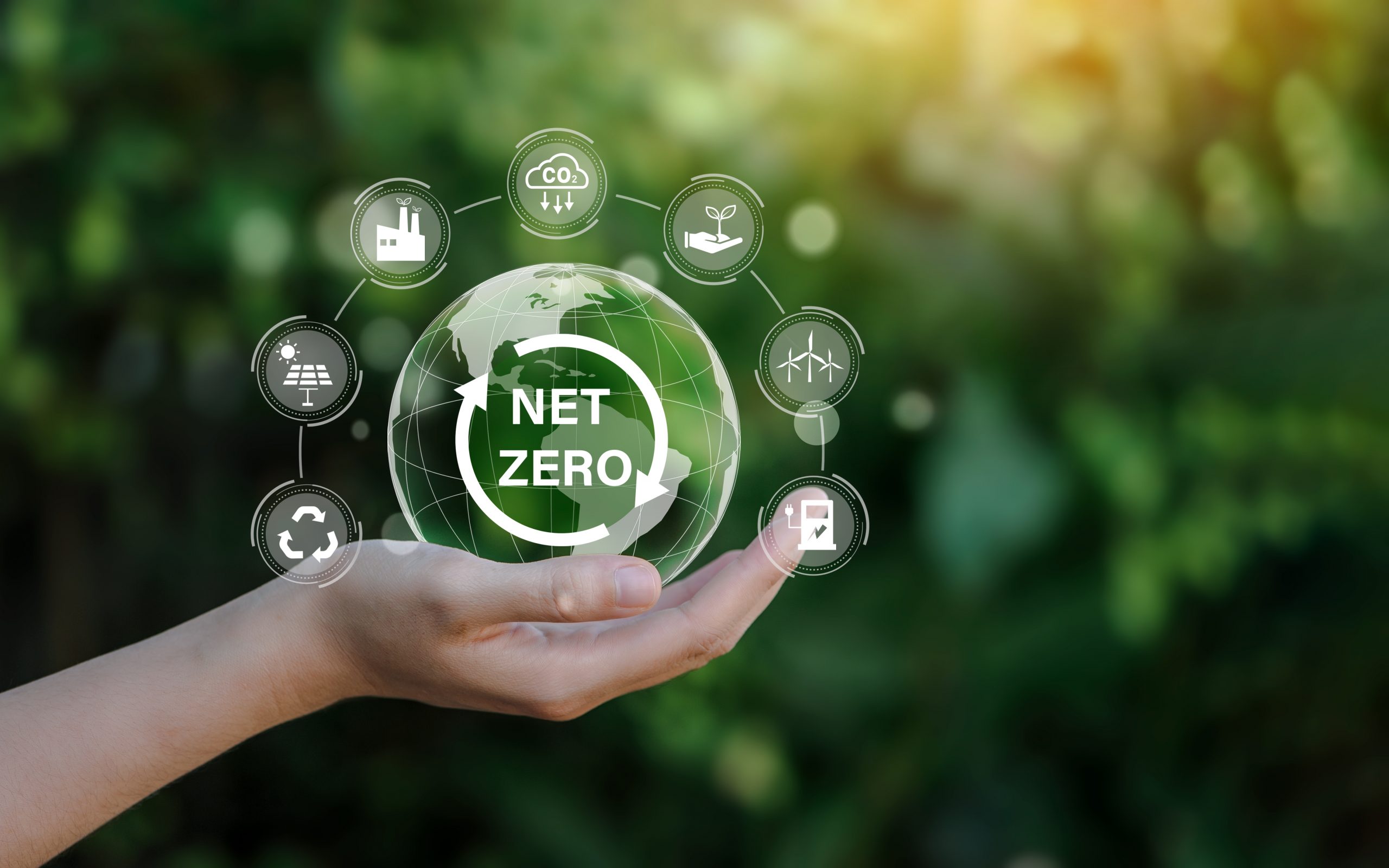 Net,Zero,Icon,And,Carbon,Neutral,Concept,In,The,Hand